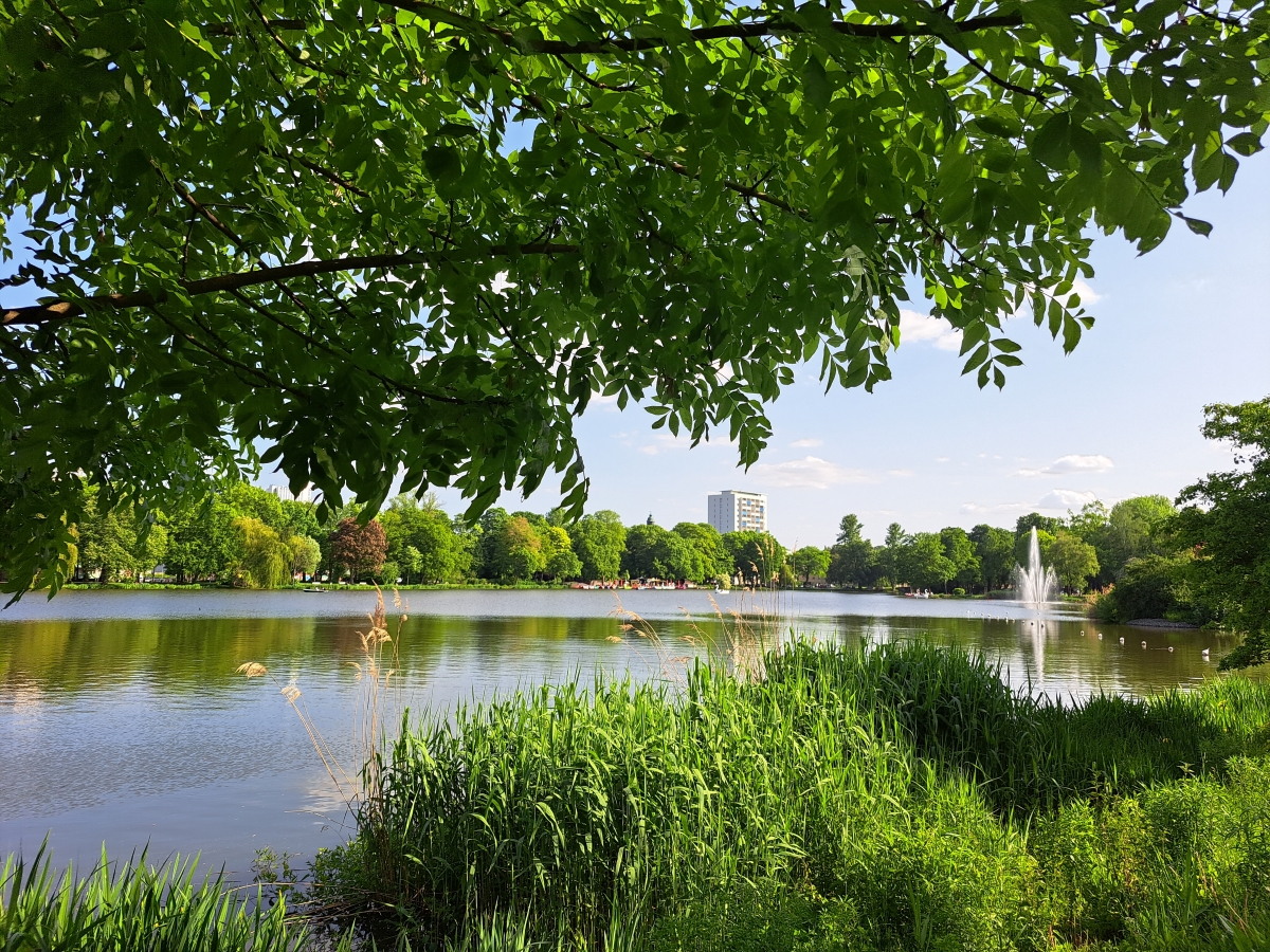 Schlossteich Chemnitz Stadt der Zukunft ist grün Kulturhauptstadt Nachhaltigkeit Biodiversität Stadtplanungsbüro Büro für Städtebau GmbH Chemnitz Zukunft Stadt