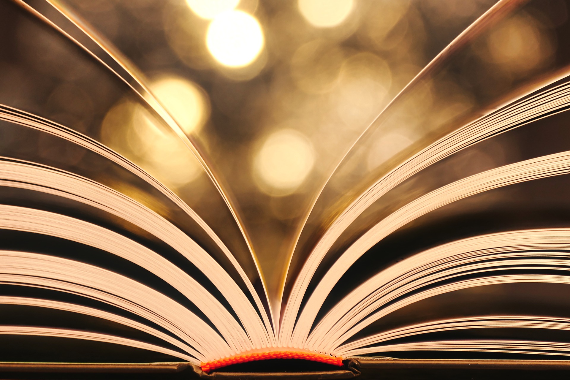 Literaturtipps Lesetipps Büro für Städtebau GmbH Chemnitz Buchladen Monokel