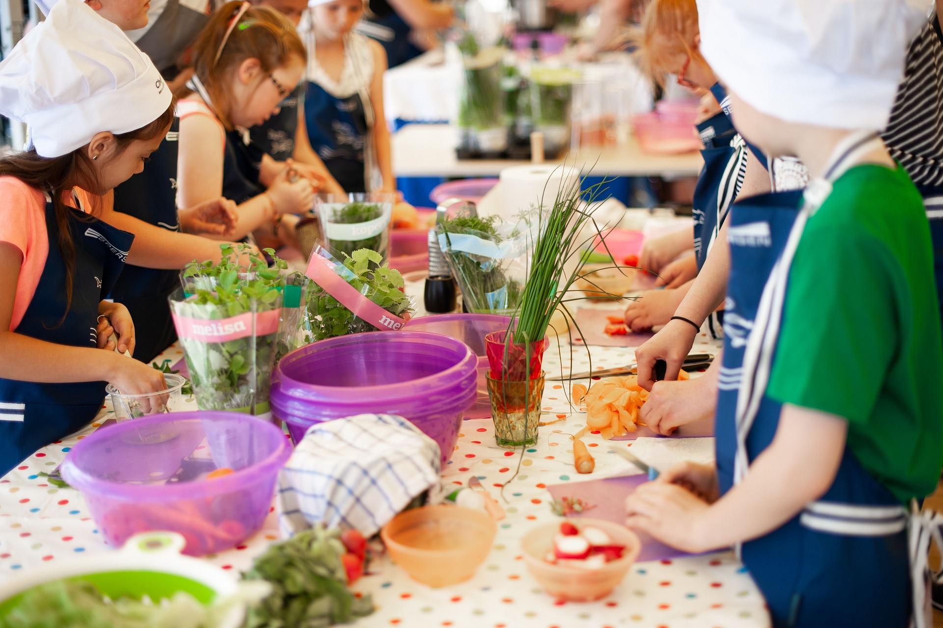 Kinder kochen Literatur Buchempfehlung Stadtplanungsbüro Ernährung regionales Gemüse Büro für Städtebau GmbH Chemnitz