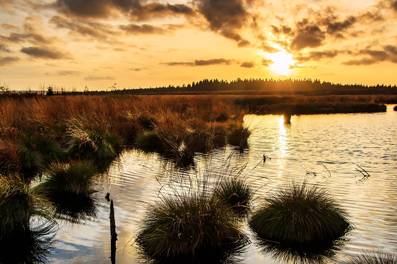 Das Moor Klimaschutz Naturschutz Biodiversität Erzgebirge Stadtplanungsbüro Büro für Städtebau GmbH Chemnitz