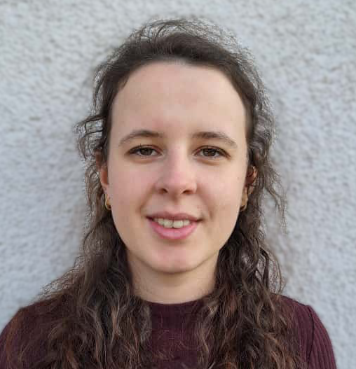 Anja Hanschmann Stadtplanung Büro für Städtebau GmbH Chemnitz Integrierte Stadtentwicklung und Gestaltung